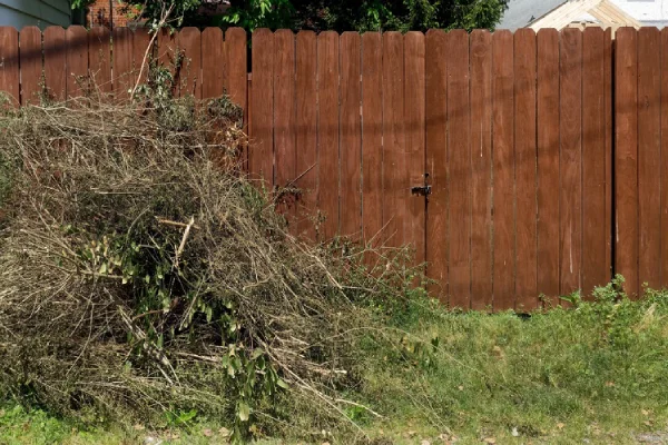 How Yard Debris Removal Helps Prevent Pest Infestations Memphis, TN How Yard Debris Removal Helps Prevent Pest Infestations Memphis, TN