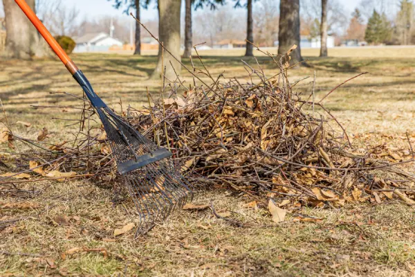How Yard Debris Removal Helps Prevent Pest Infestations in Memphis, TN How Yard Debris Removal Helps Prevent Pest Infestations in Memphis, TN