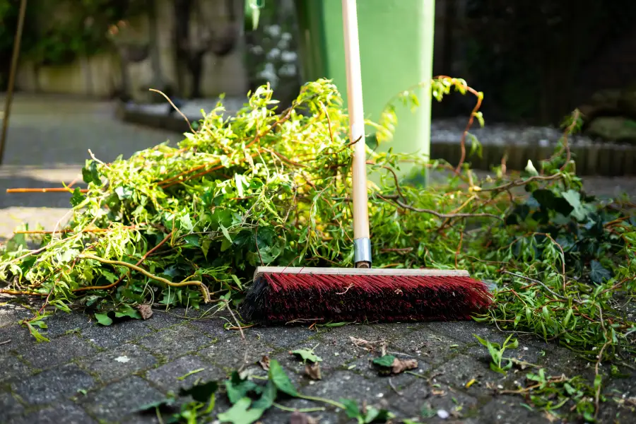 Yard Debris Removal in Memphis, TN Yard Debris Removal in Memphis, TN